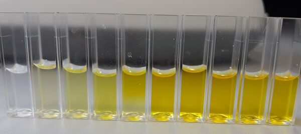 Arbeit in zdi-Schüler:innenlabor teutolab-biotechnologie mit LeLa-Preis ausgezeichnet