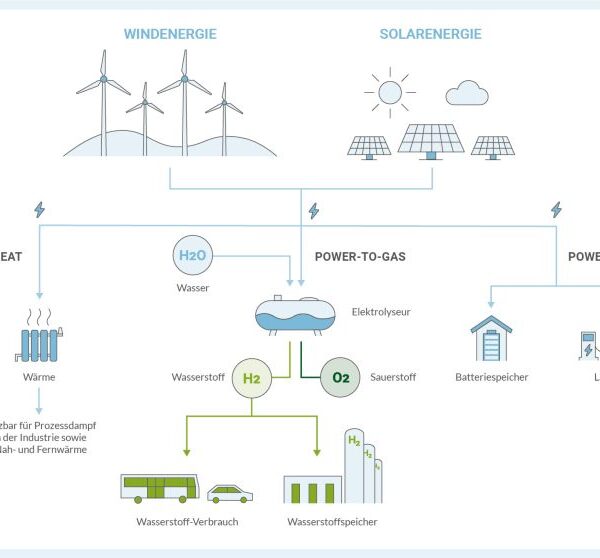 Unter der Lupe: Nachhaltige Energiewirtschaft