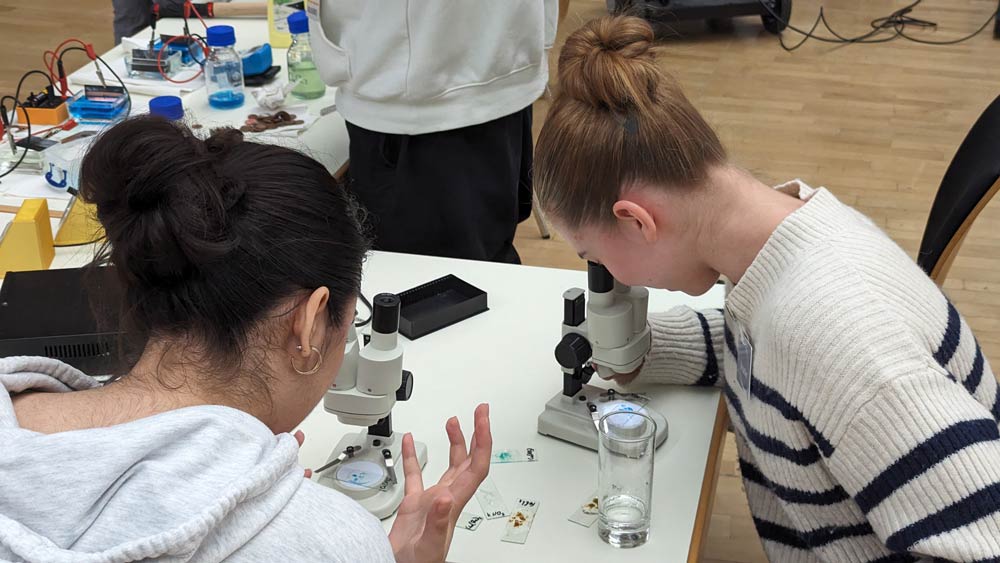 Zwei Frauen untersuchen während des Zukunftstags 2024 an einem naturwissenschaftlichen Labortisch Objekte mit Mikroskopen. Um sie herum liegen verschiedene Laborgeräte und -materialien.