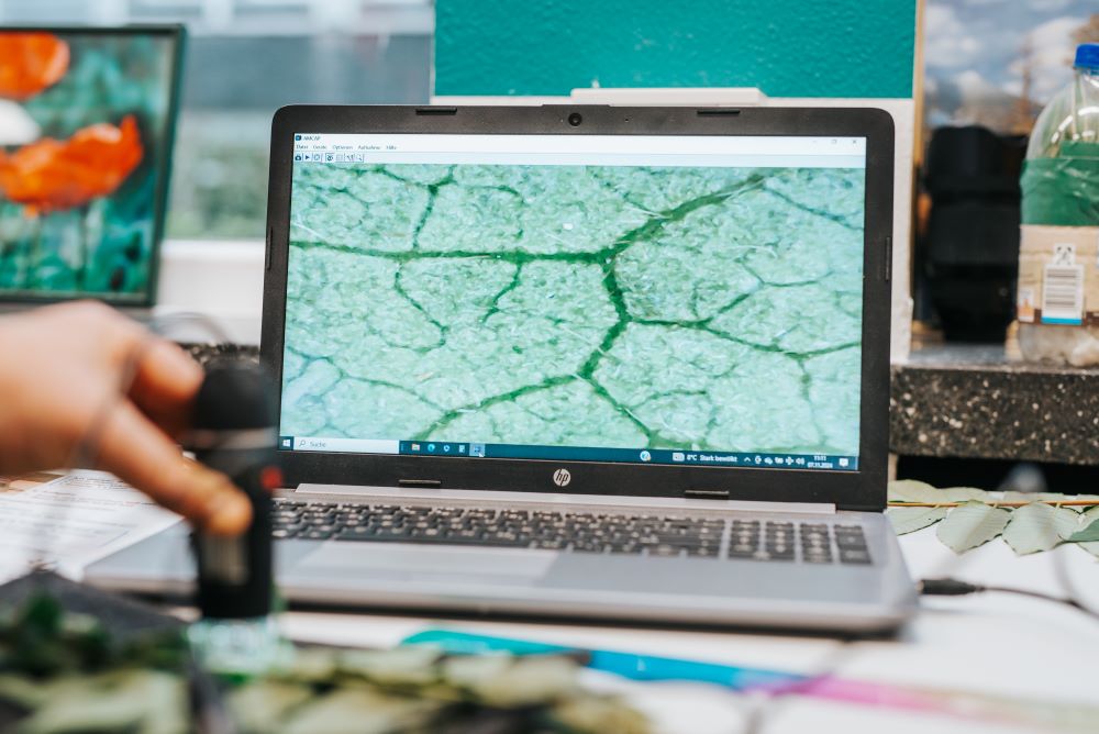 Eine Person im PhänomexX-Labor Krefeld hält ein Mikroskop neben einen Laptop-Bildschirm, der eine Nahaufnahme der strukturierten Oberflächenmuster eines Blattes zeigt, die an rissige Erde erinnern.