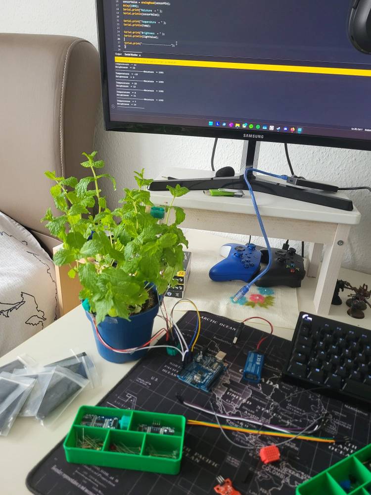 Der Computeraufbau umfasst einen Monitor, auf dem Programmiercode angezeigt wird. Auf dem Schreibtisch stehen eine Topfpflanze, einige elektronische Komponenten und ein Gamecontroller.