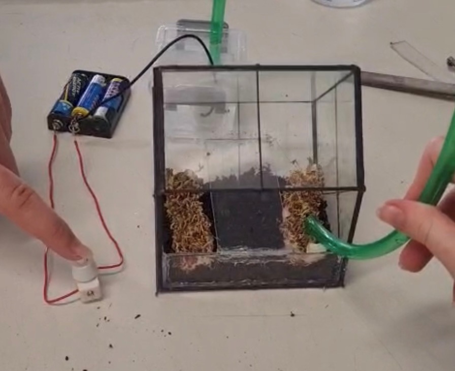 Ein kleines Terrarium besteht aus Kabeln, die an einen Akkupack angeschlossen sind, und einem Schlauch, der den Luftstrom simuliert. Eine Person zeigt auf den Schalter, der den Stromkreis steuert.