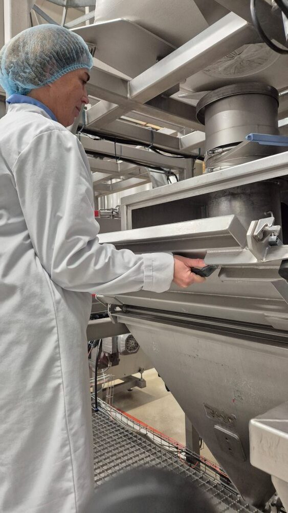 Eine Person trägt einen weißen Laborkittel und ein Haarnetz, während sie in einer Fabrik Anlagen zur industriellen Lebensmittelverarbeitung bedient.