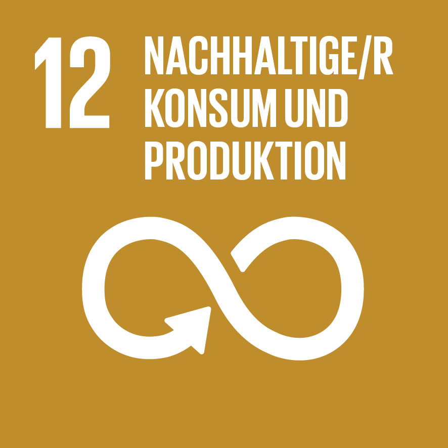 Die Grafik zeigt das Logo des SDGs 12: Nachhaltige/r Konsum und Produktion.