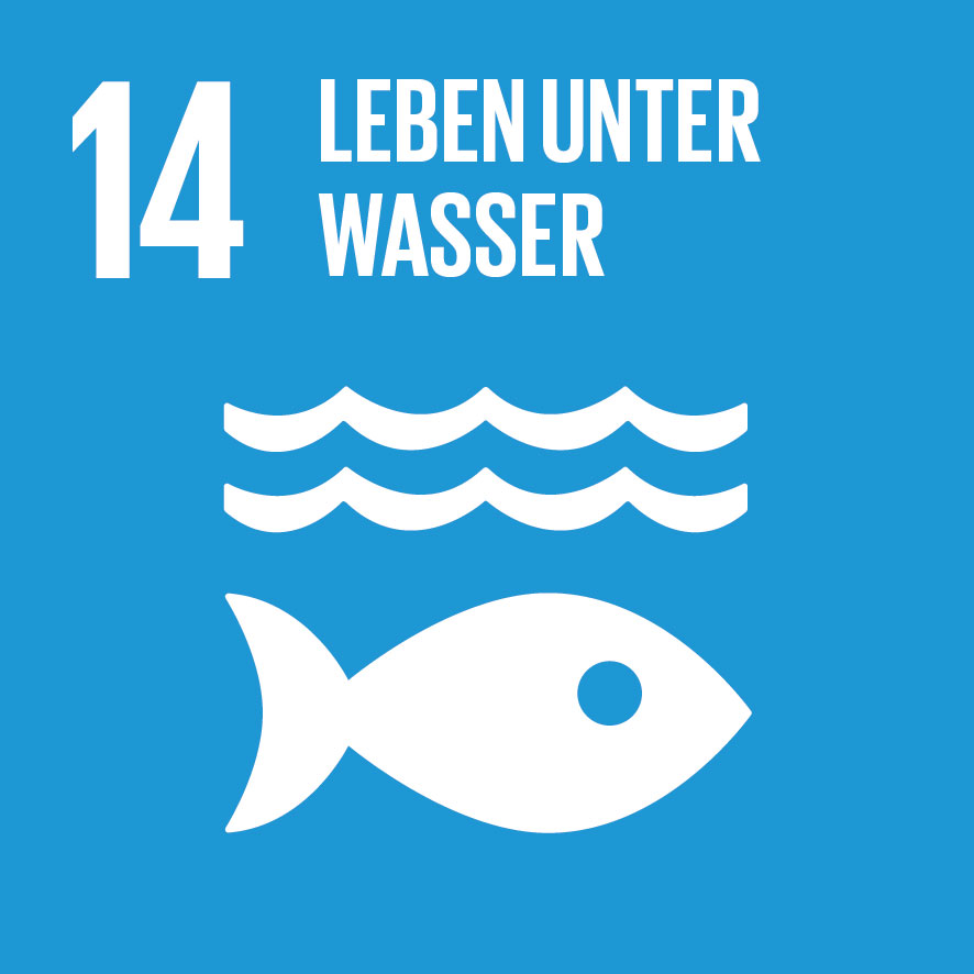 Die Grafik zeigt das Logo des SDGs 14: Leben unter Wasser.