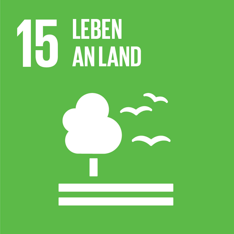 Die Grafik zeigt das Logo des SDGs 15: Leben an Land.